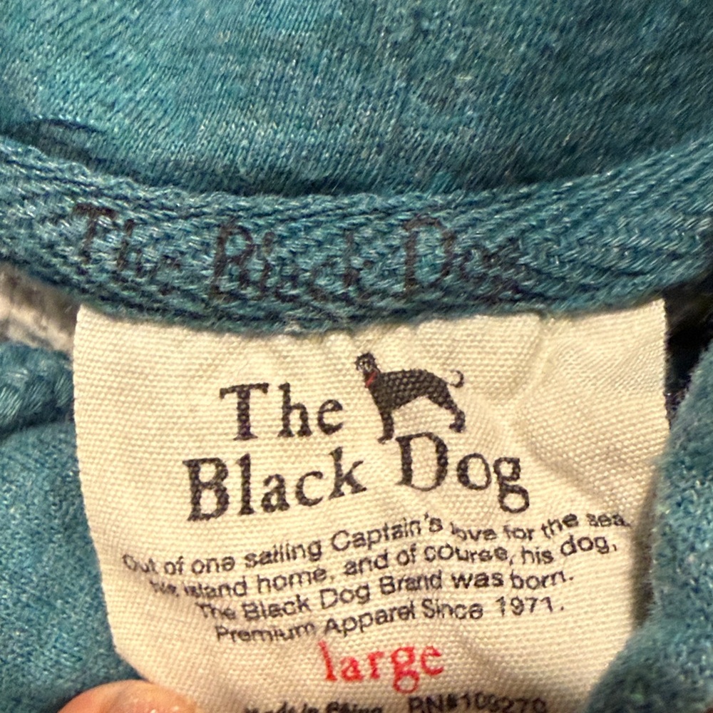 The Black Dog Teal Pullover Hoodie with Subtle Logo - Picture 3 of 13